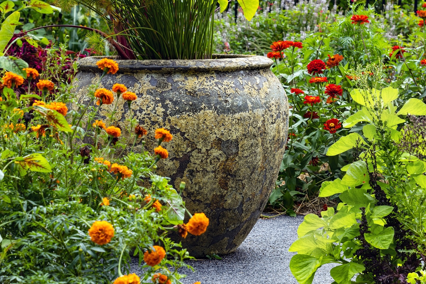 Gardening Tips for Building a Sustainable Future